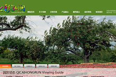 �߲�����ׯ԰