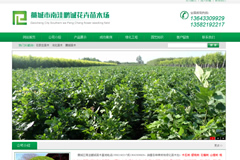 �ӱ�ʯ��ׯ��ľ����